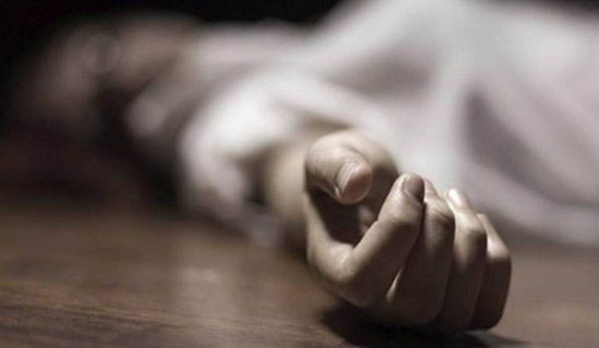 Elderly dies after being hit by wooden pole in Gorkha