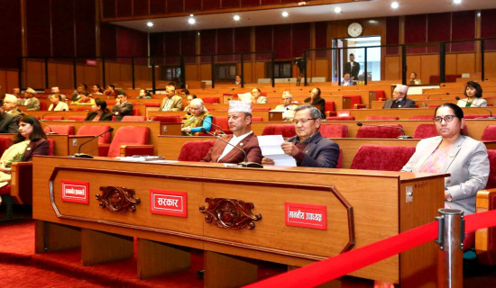 NC President Deuba stresses protection of constitution