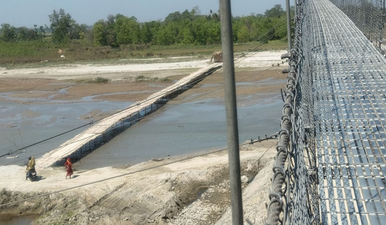 Bamboo bridge earning good income in Morang