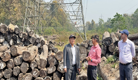 Construction of Hetauda-Bara section  of transmission line completes