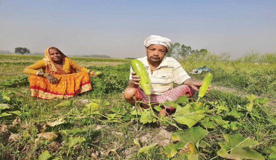 Working in vegetable farm while fighting multiple illnesses