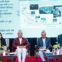 Poetry, means of realising world: Former President Bhandari