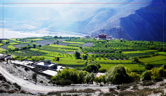 Pakling village and yam field of Mustang