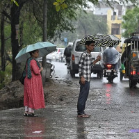 Farmers worry as winter crops fail to sprout