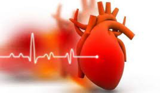 780 people receive services from heart check-up camp