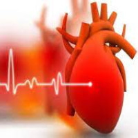 Nanoplastics linked to heart attack, stroke and early death, study finds