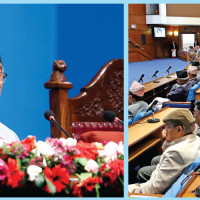 Govt to conduct economic diplomacy more effectively