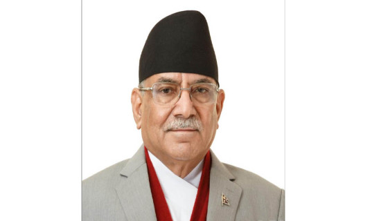 Press vital to enforce republic, constitution: Chair Dahal