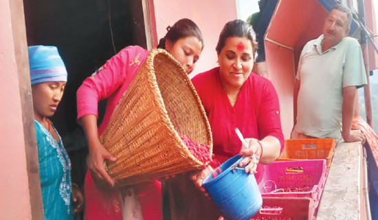 PM urges private sector to bring concrete proposal for resuming sick industries