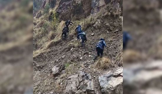 Man dies while collecting Yarsagumba in Manang