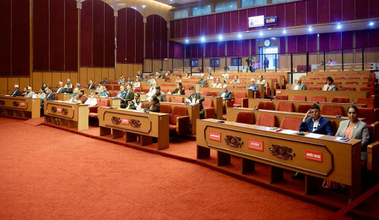 NA members emphasize effective implementation of govt policies and programmes