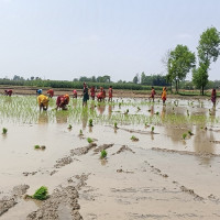 Two teenagers drowns and dies while bathing in Mohana River in Kailali