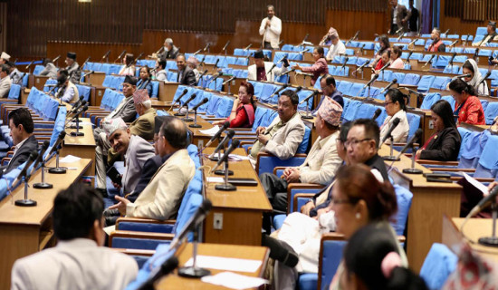 Lawmakers draw government's attention on contemporary issues