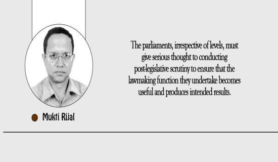 Ensure Laws  Are Implemented