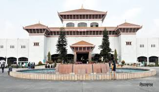 Report highlights need for dedicated act for projects of national pride