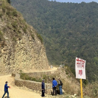 Sheep herds return to Himalayan pastures as heat rises in lower hills