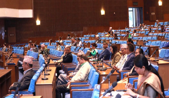 Lawmakers draw govt.'s attention on contemporary issues