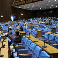 Upper House lawmakers call government's attention to fertilizer shortage