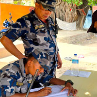 Female rhino found dead in Nawalpur