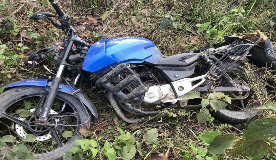 Brothers dead in road accident