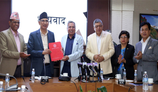 Govt. working to address private sector's concerns: DPM Paudel