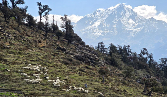 Mount Sisne