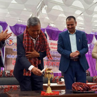 Chir erected in Basantapur, Holi festival begins (Photo Feature)
