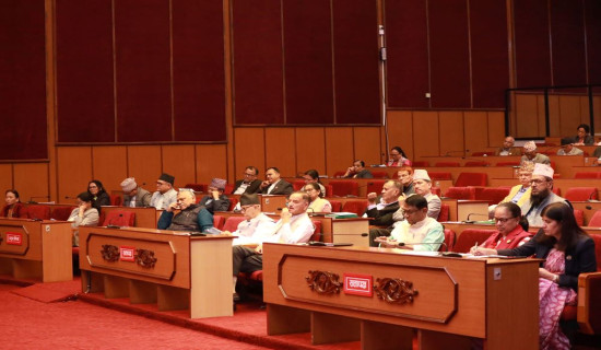 NA session: Lawmakers stress on allocating budget based on principles, priorities