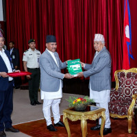 Maoist stream parties' meeting decides to confront activities against peace pact