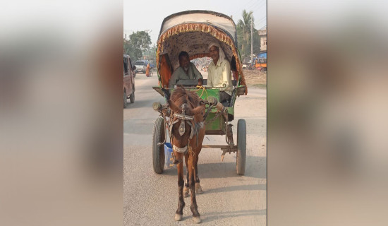 Tanga transportation  phasing out in Rautahat