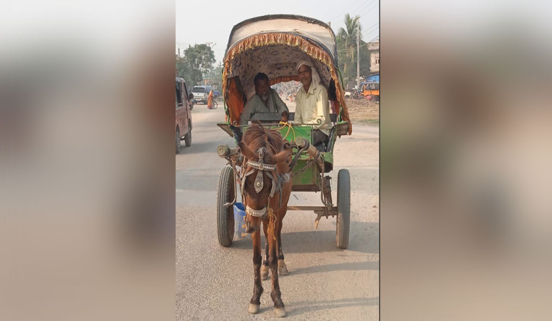 Tanga transportation  phasing out in Rautahat