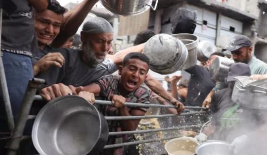 Global hunger hits record high: UN