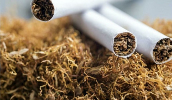 'Taxation curbs smoking and tobacco usage'