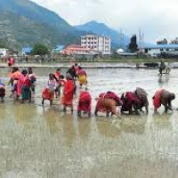 Pokhara Int'l Airport inauguration today