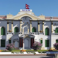 TMJ  Rhododendron Capital of Nepal