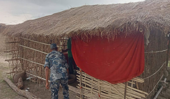 Huts built encroaching forest area demolished