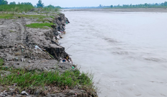 Paddy fields flooded with wastes  in Urlabari