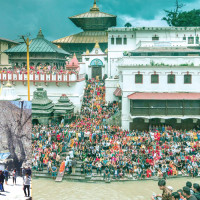 Impartial journalism is foundation of democracy: President Paudel