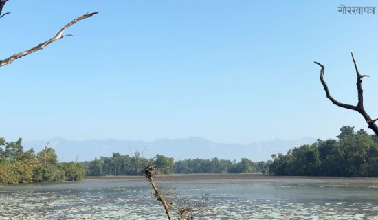 Ghodaghodi Lake