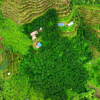 Dang women ploughing fields defying traditional barriers
