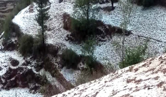 Heavy hailstorms in Jumla destroy crops, police deployed for damage assessment