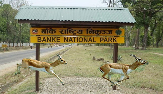 430 tourists visit Banke National Park