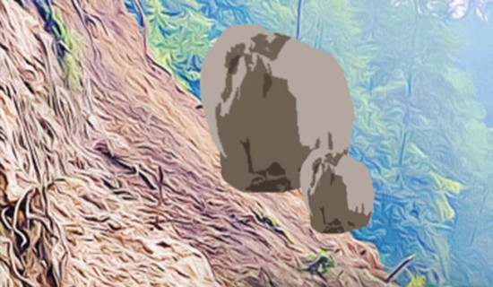 Landslide disrupts Rapti Highway