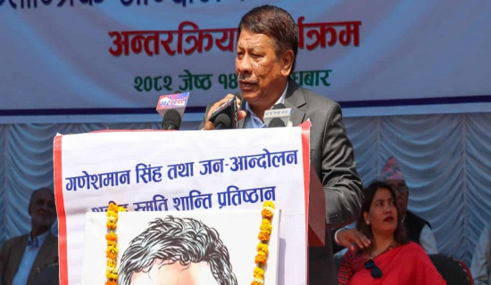 No alternative to institutionalization of Republic: DPM Singh