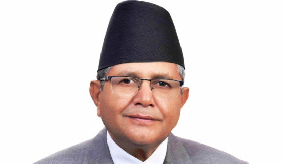 Challenges in forest conservation persist amid efforts of Koshi Province government