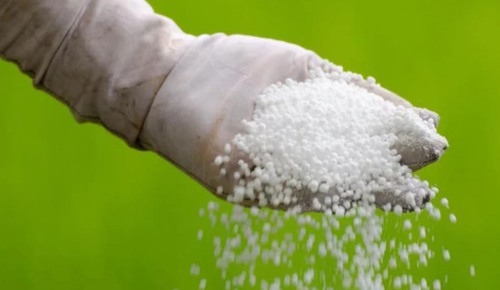 Govt. to import 600,000 metric tons of chemical fertilizer