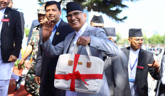 Government spells out plans in budget statement to stimulate economy