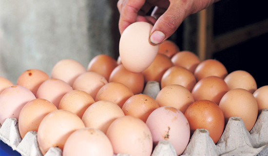 Price of eggs increased