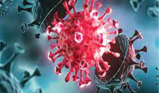 COVID-19 risk not high, but caution needed: Experts