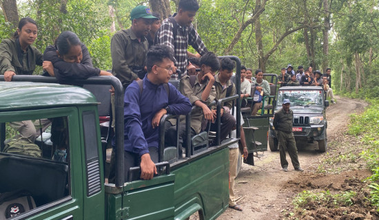 Youths from Majhi, Musahar, Bote communities turn to alternative occupation
